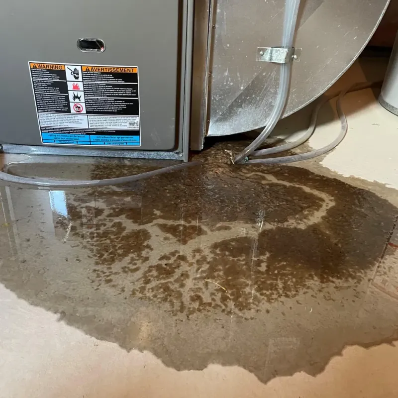 Appliance Leak Cleanup in Colby, KS